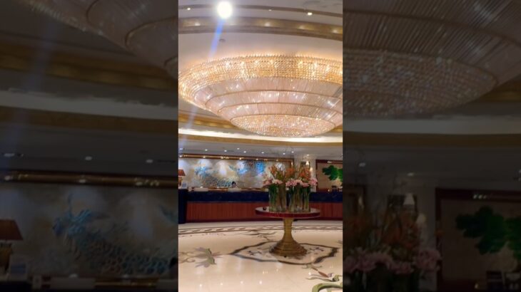 Windsor Plaza Hotel Ho Chi Minh #travel #saigon #shortsfeed #vietnam #vietnamcountry #trending