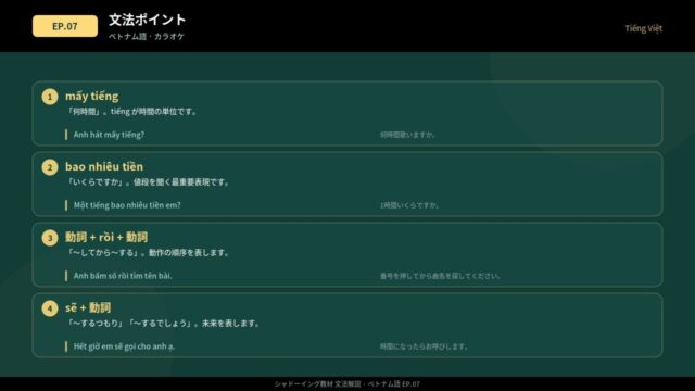 07 カラオケ ベトナム語シャドーイング文法単語解説付き