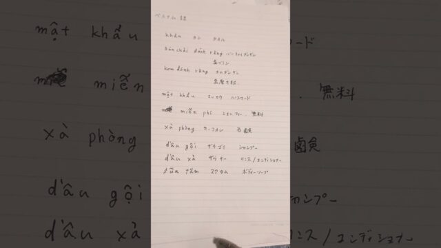 【ベトナム旅#5】ダナンに初上陸したイオンモールに行ってみた🇻🇳