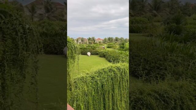 ベトナム　ダナン　フュージョンリゾートホテルの敷地内探索　プライベートビーチ