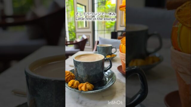 ホテルにチェックイン🇻🇳✨️Hotel Check-in